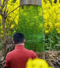 高手在民间